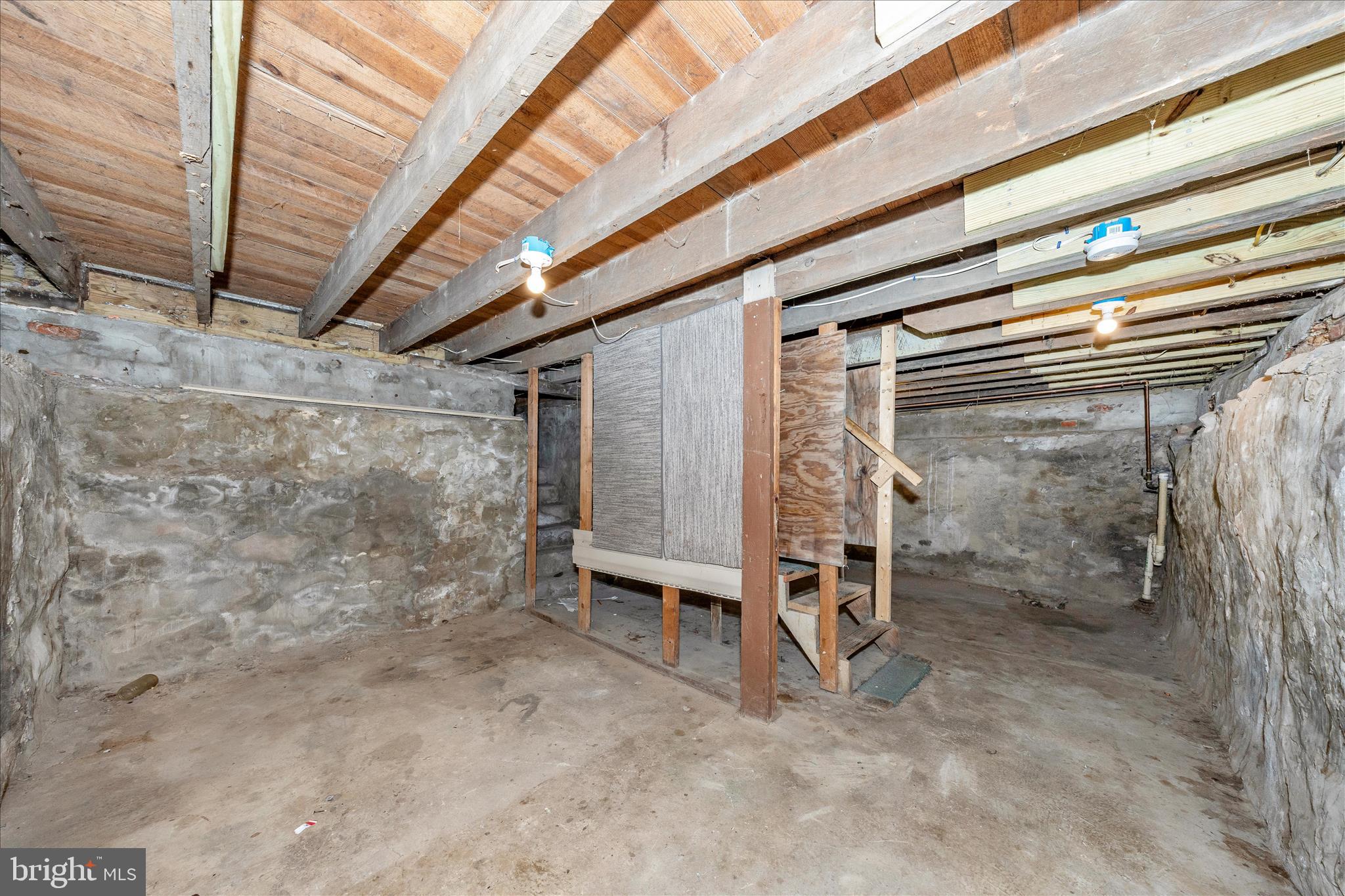 225 Alexander Street Hagerstown, MD 21740 - Photo 36 of 49 Unfinished Lower Level