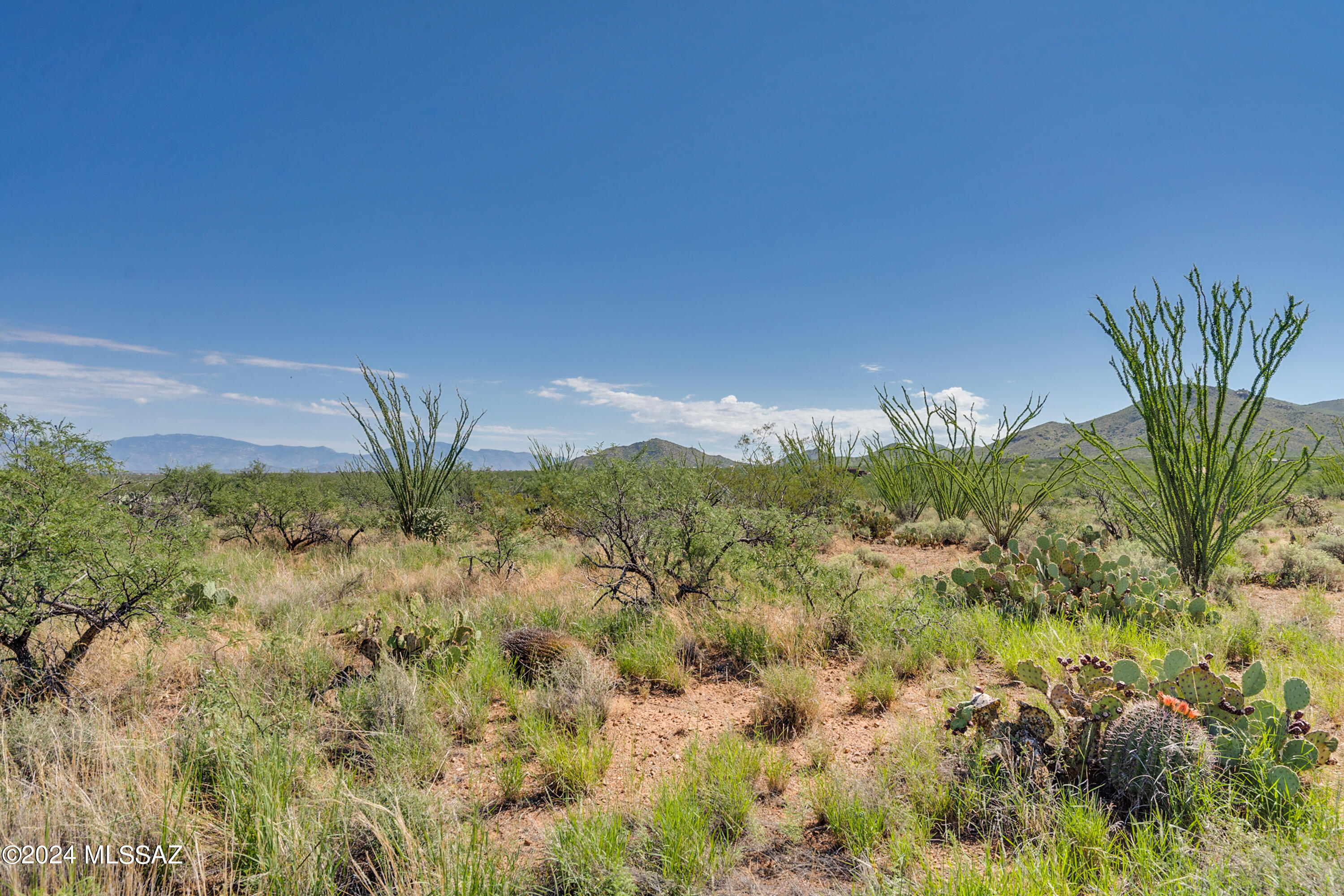 9789 East Ocotillo Rim Trail Vail, AZ 85641 - Photo 24 of 29 Ocotillo Rim Trl-6
