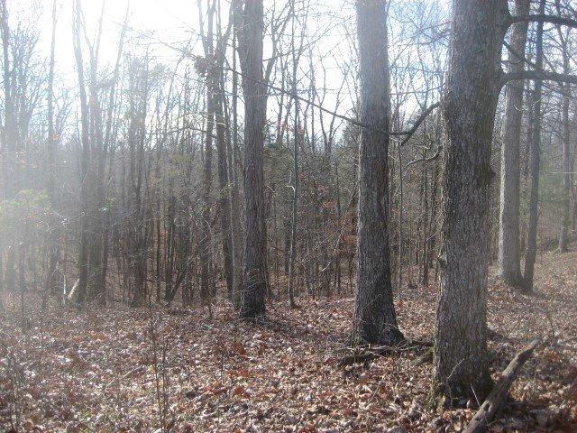 1370 Mays Road Lawrenceburg, KY 40342 - Photo 7 of 24 Photo 7