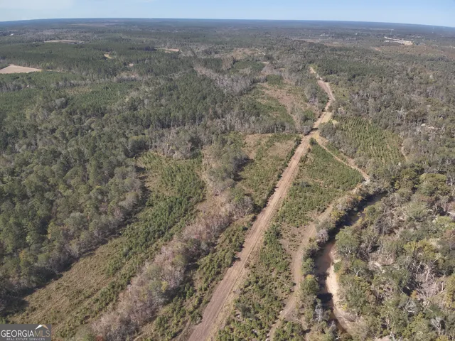 $10,289,500 | 0 Williams Trail, Lyons, GA 30436