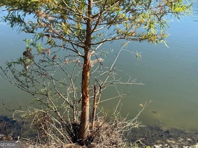 a view of a couches in the patio