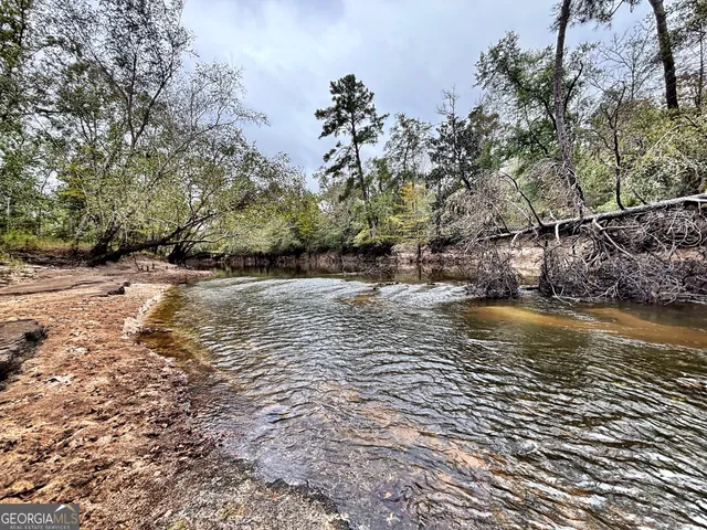 a water fountain in the middle of a forest