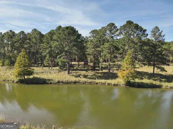 a view of a ocean with boats and trees in the background