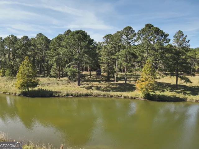 $10,289,500 | 0 Williams Trail, Lyons, GA 30436