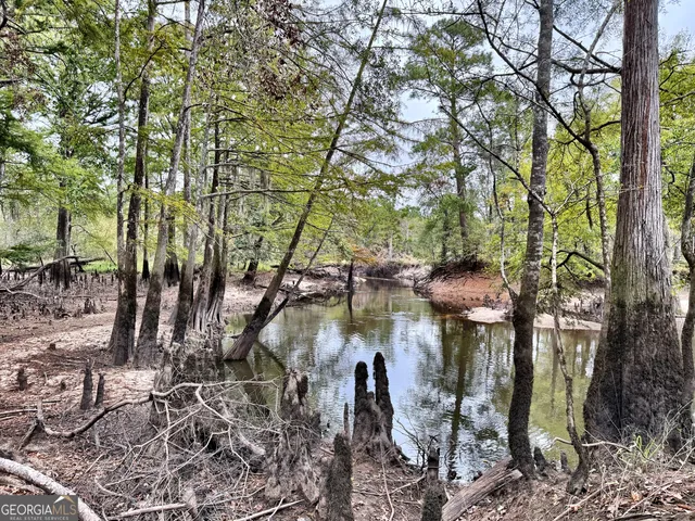 $10,289,500 | 0 Williams Trail, Lyons, GA 30436