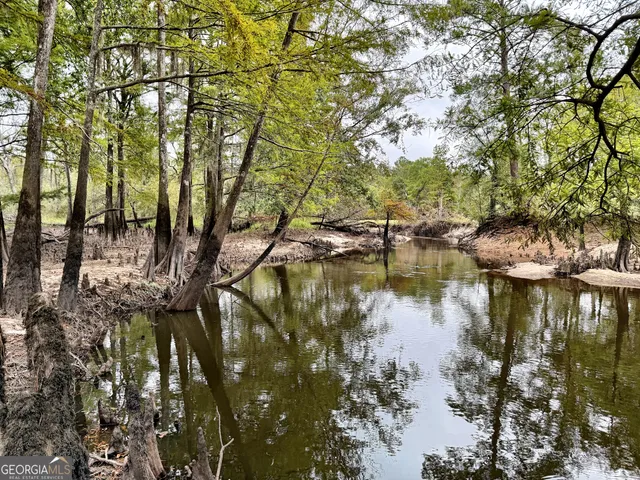 $10,289,500 | 0 Williams Trail, Lyons, GA 30436