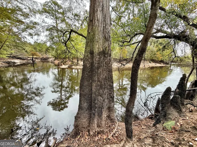 $10,289,500 | 0 Williams Trail, Lyons, GA 30436