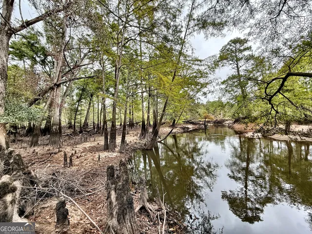 $10,289,500 | 0 Williams Trail, Lyons, GA 30436