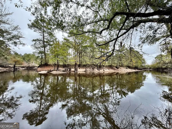 $10,289,500 | 0 Williams Trail, Lyons, GA 30436