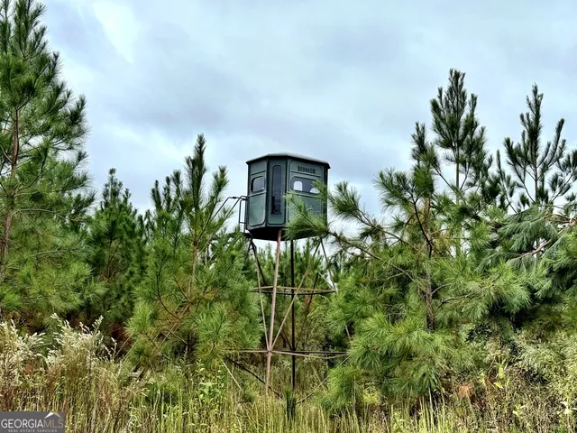 $10,289,500 | 0 Williams Trail, Lyons, GA 30436