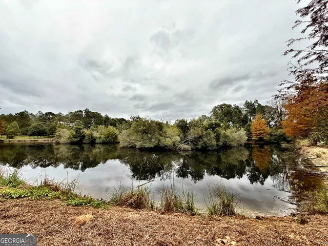 $10,289,500 | 0 Williams Trail, Lyons, GA 30436