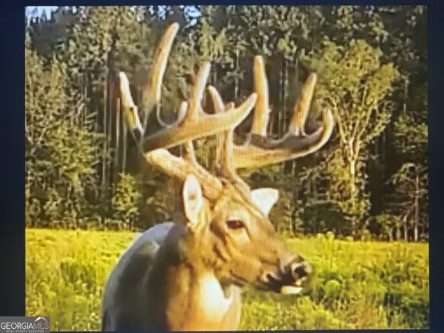 $10,289,500 | 0 Williams Trail, Lyons, GA 30436