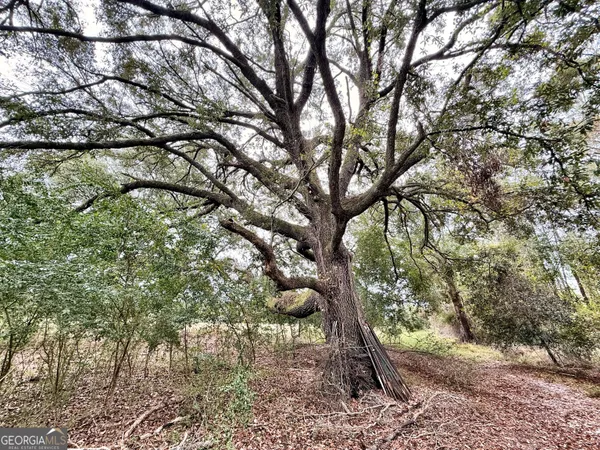 $10,289,500 | 0 Williams Trail, Lyons, GA 30436