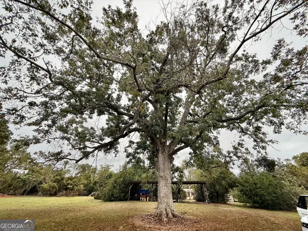 $10,289,500 | 0 Williams Trail, Lyons, GA 30436