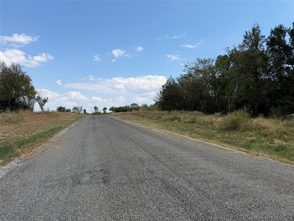 Lot 5 Co Road Farmersville, TX 75442 - Photo 5 of 15 Gravel road with natural vegetation bordering the property