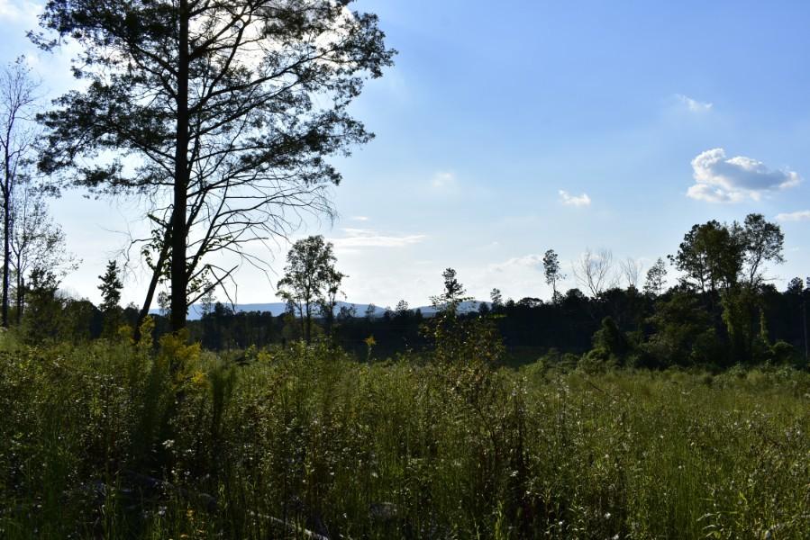 4680 Ringgold Road LaFayette, GA 30728 - Photo 114 of 121 _DSC0359