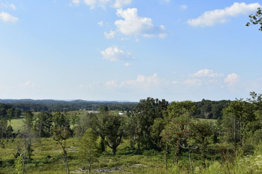 4680 Ringgold Road LaFayette, GA 30728 - Photo 117 of 121 _DSC0363