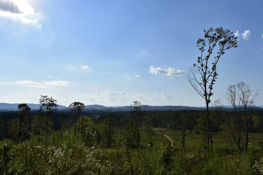 4680 Ringgold Road LaFayette, GA 30728 - Photo 120 of 121 _DSC0368
