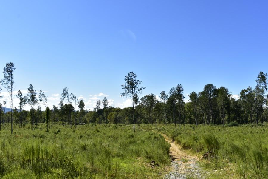4680 Ringgold Road LaFayette, GA 30728 - Photo 13 of 121 _DSC0254