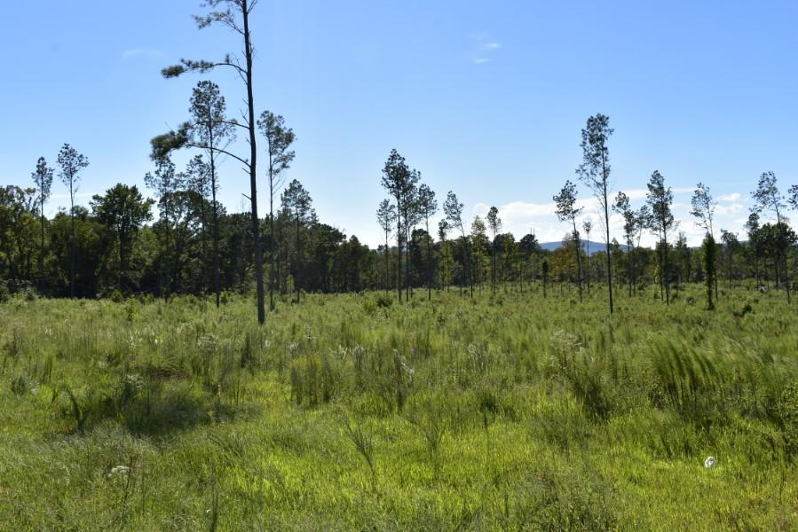 4680 Ringgold Road LaFayette, GA 30728 - Photo 16 of 121 _DSC0256