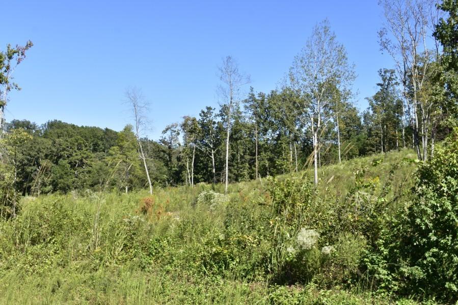 4680 Ringgold Road LaFayette, GA 30728 - Photo 19 of 121 _DSC0259