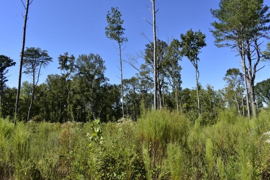 4680 Ringgold Road LaFayette, GA 30728 - Photo 25 of 121 _DSC0265