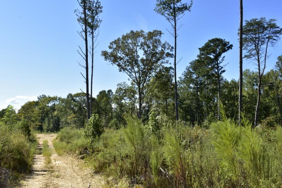 4680 Ringgold Road LaFayette, GA 30728 - Photo 27 of 121 _DSC0267