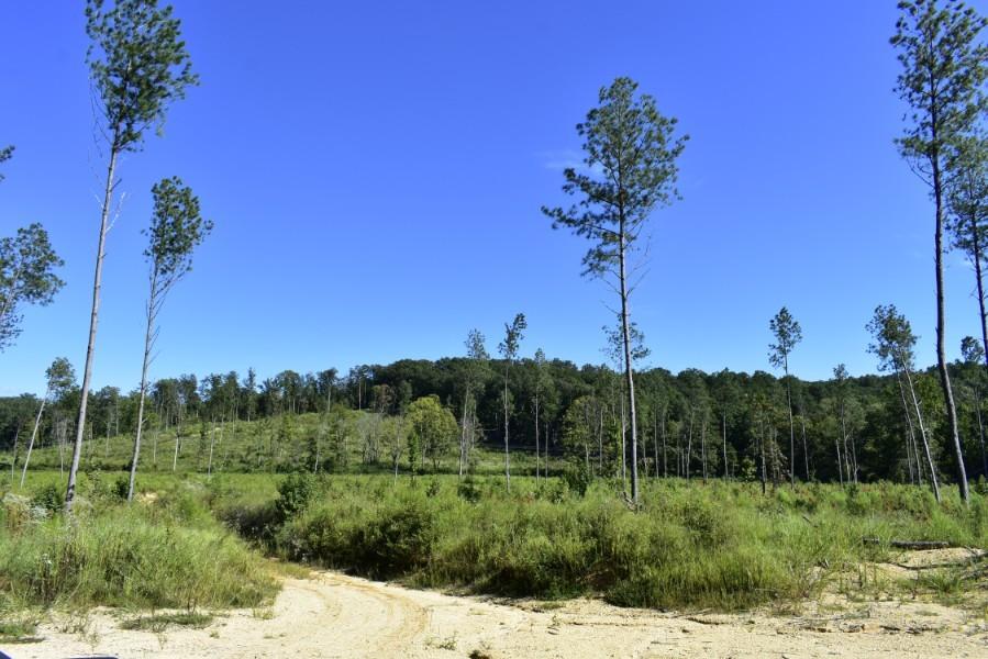 4680 Ringgold Road LaFayette, GA 30728 - Photo 29 of 121 _DSC0269