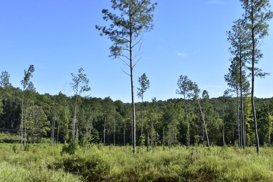 4680 Ringgold Road LaFayette, GA 30728 - Photo 34 of 121 _DSC0274