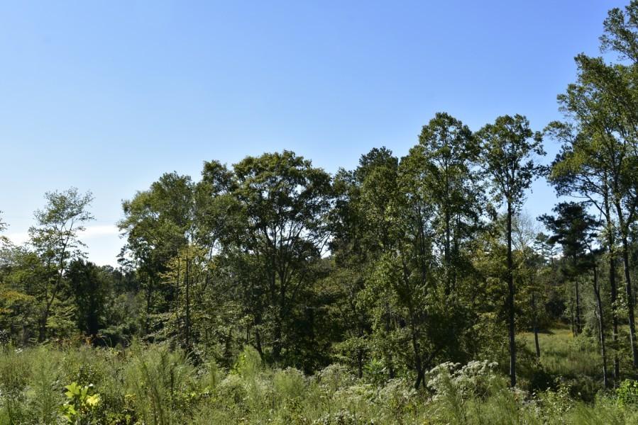 4680 Ringgold Road LaFayette, GA 30728 - Photo 36 of 121 _DSC0276