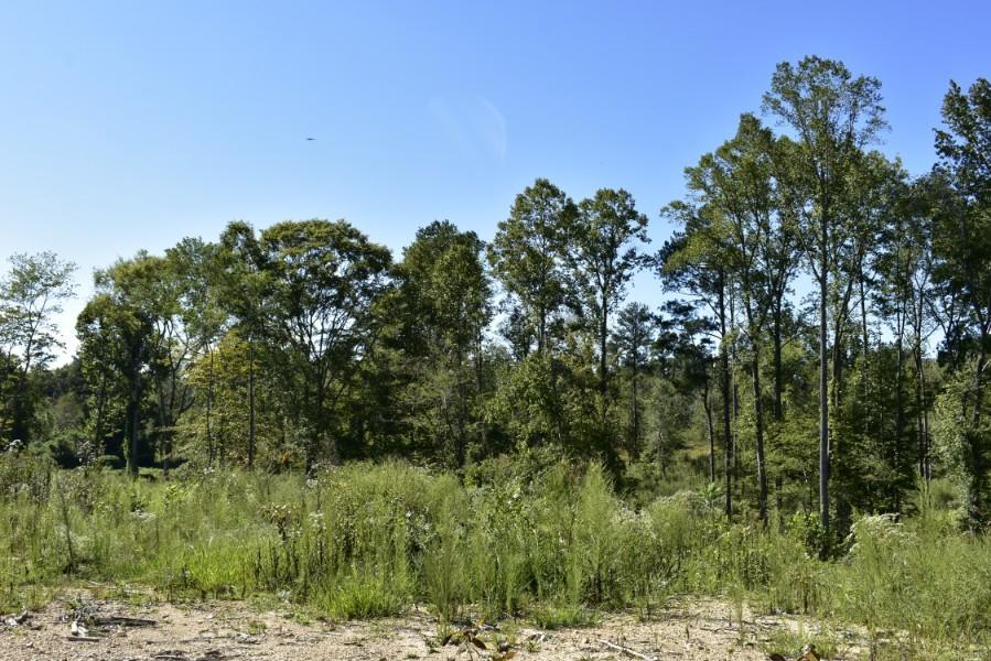4680 Ringgold Road LaFayette, GA 30728 - Photo 37 of 121 _DSC0277