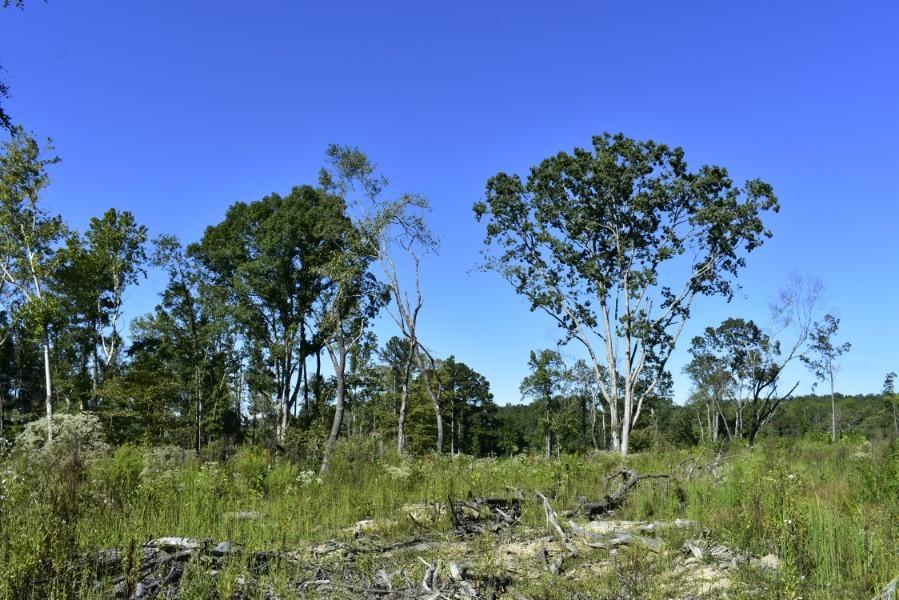 4680 Ringgold Road LaFayette, GA 30728 - Photo 43 of 121 _DSC0283