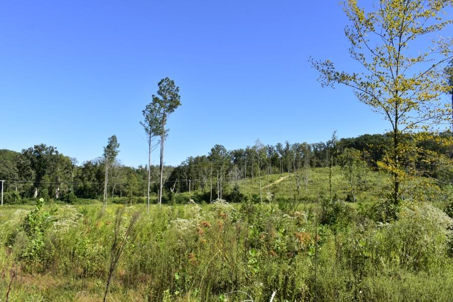 4680 Ringgold Road LaFayette, GA 30728 - Photo 45 of 121 _DSC0285