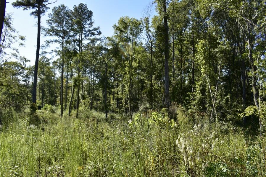 4680 Ringgold Road LaFayette, GA 30728 - Photo 51 of 121 _DSC0291