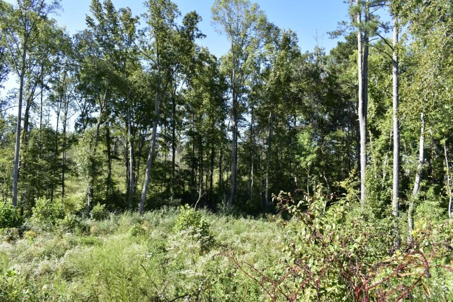 4680 Ringgold Road LaFayette, GA 30728 - Photo 52 of 121 _DSC0292