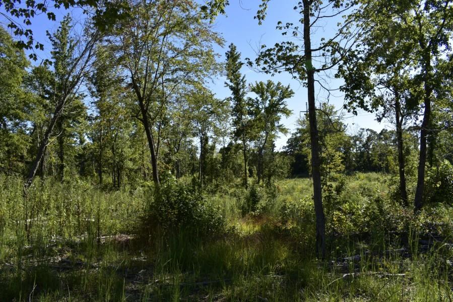 4680 Ringgold Road LaFayette, GA 30728 - Photo 63 of 121 _DSC0303