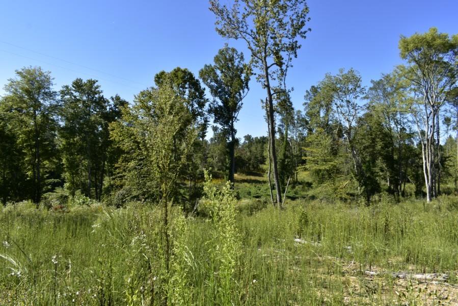 4680 Ringgold Road LaFayette, GA 30728 - Photo 65 of 121 _DSC0305