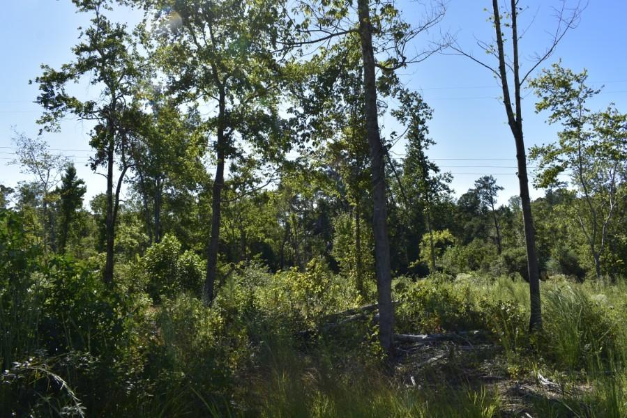 4680 Ringgold Road LaFayette, GA 30728 - Photo 68 of 121 _DSC0308