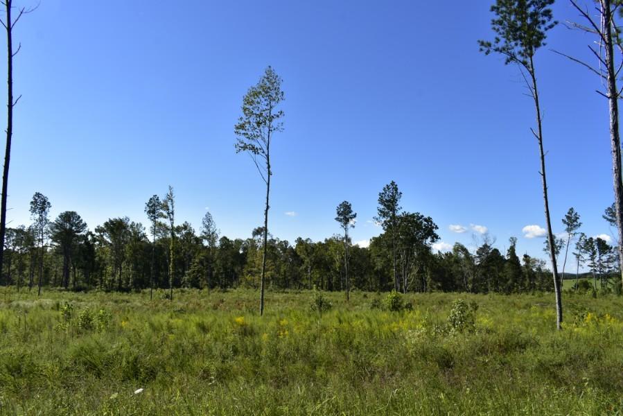 4680 Ringgold Road LaFayette, GA 30728 - Photo 70 of 121 _DSC0310