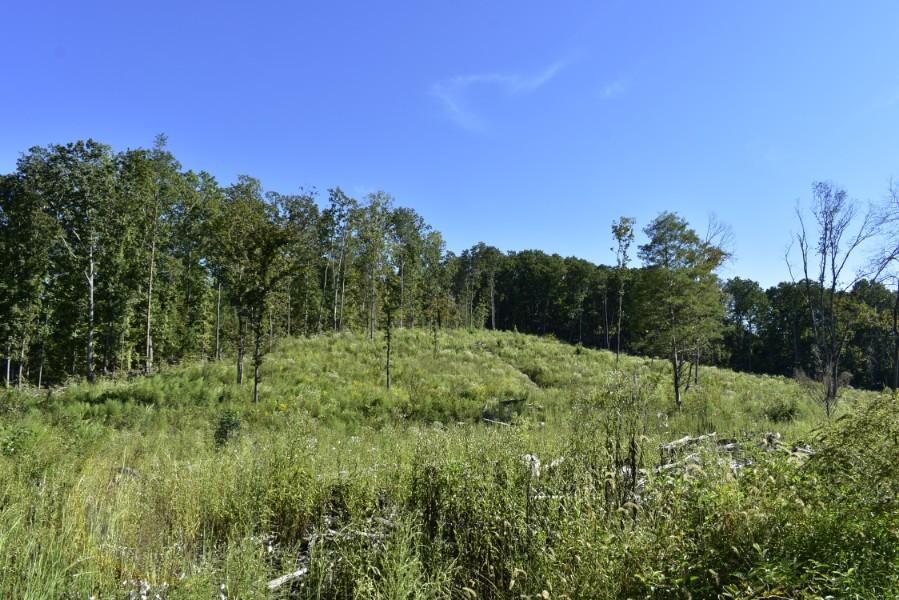 4680 Ringgold Road LaFayette, GA 30728 - Photo 72 of 121 _DSC0312