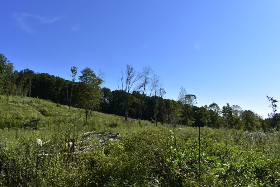 4680 Ringgold Road LaFayette, GA 30728 - Photo 73 of 121 _DSC0313