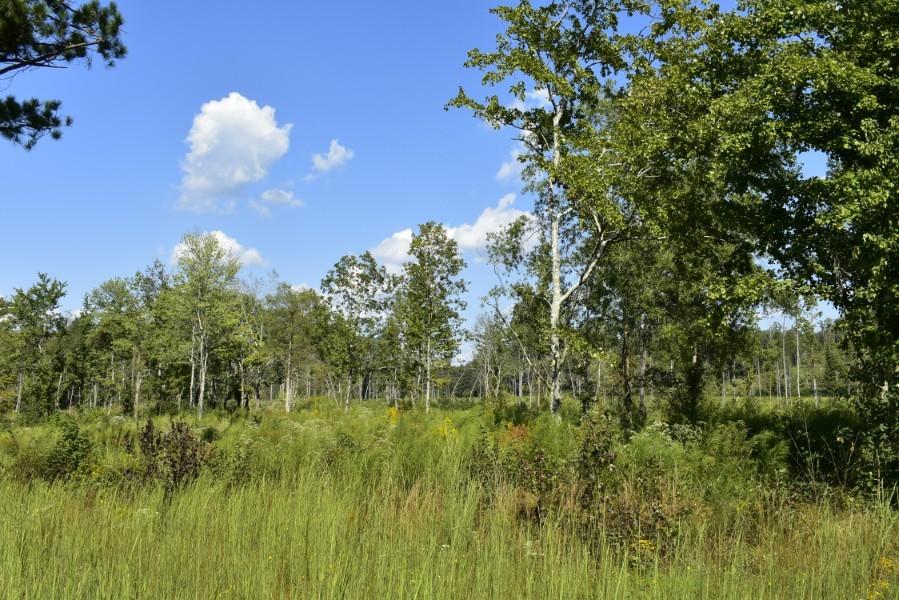 4680 Ringgold Road LaFayette, GA 30728 - Photo 78 of 121 _DSC0318