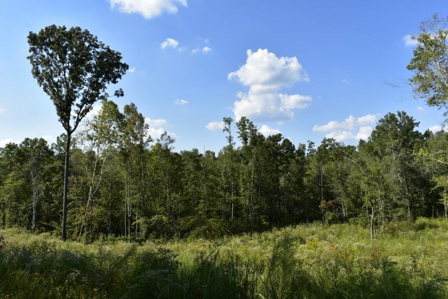 4680 Ringgold Road LaFayette, GA 30728 - Photo 82 of 121 _DSC0322