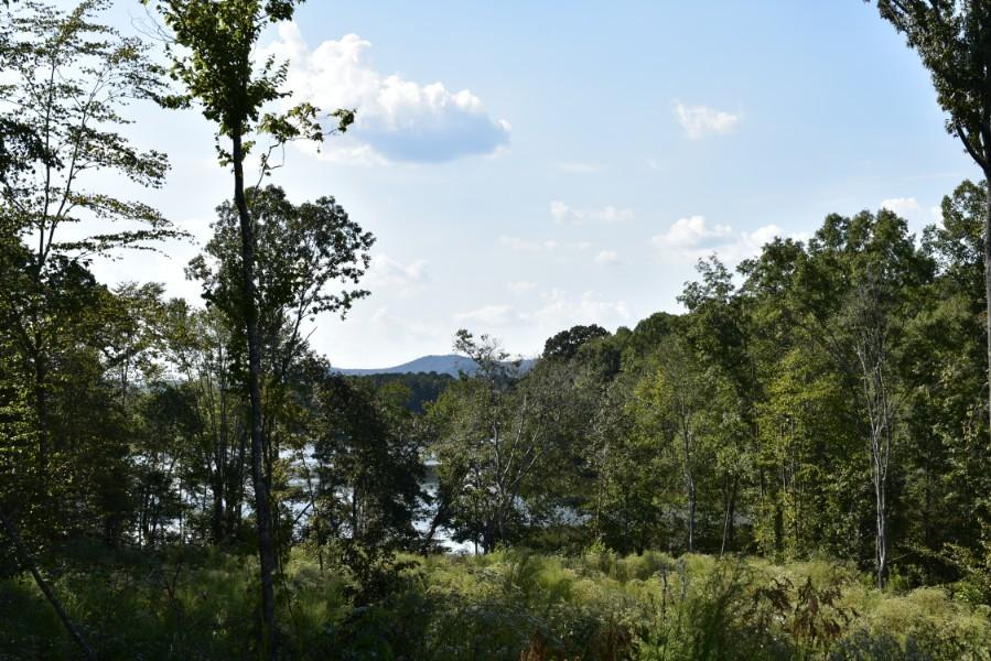 4680 Ringgold Road LaFayette, GA 30728 - Photo 84 of 121 _DSC0324