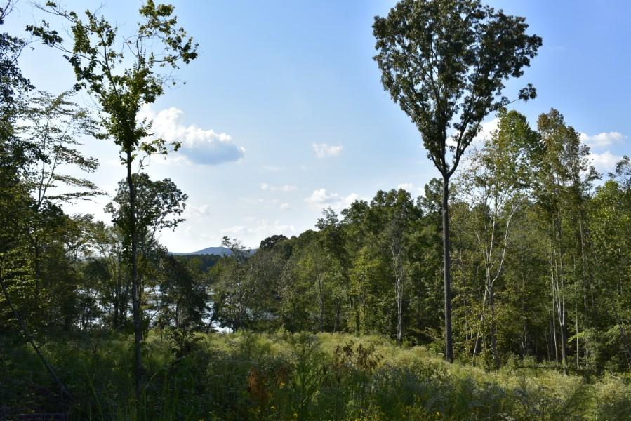 4680 Ringgold Road LaFayette, GA 30728 - Photo 86 of 121 _DSC0326