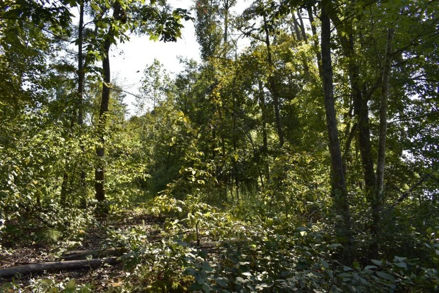 4680 Ringgold Road LaFayette, GA 30728 - Photo 92 of 121 _DSC0332