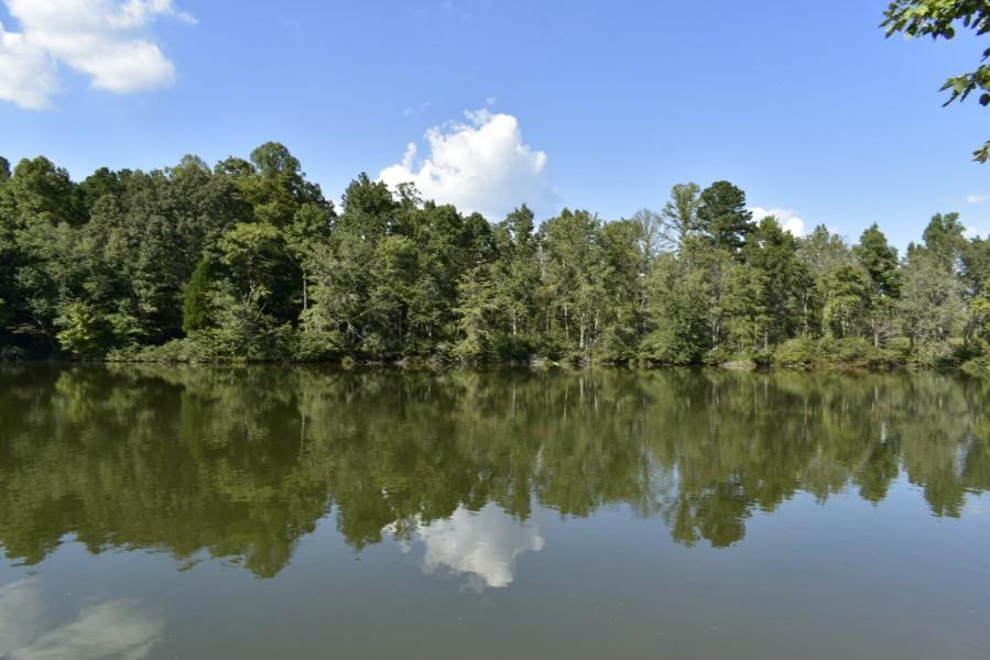 4680 Ringgold Road LaFayette, GA 30728 - Photo 97 of 121 _DSC0337