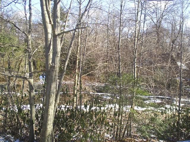 8 Ridge Drive Tannersville, PA 18372 - Photo 2 of 11 BACK OF UNIT