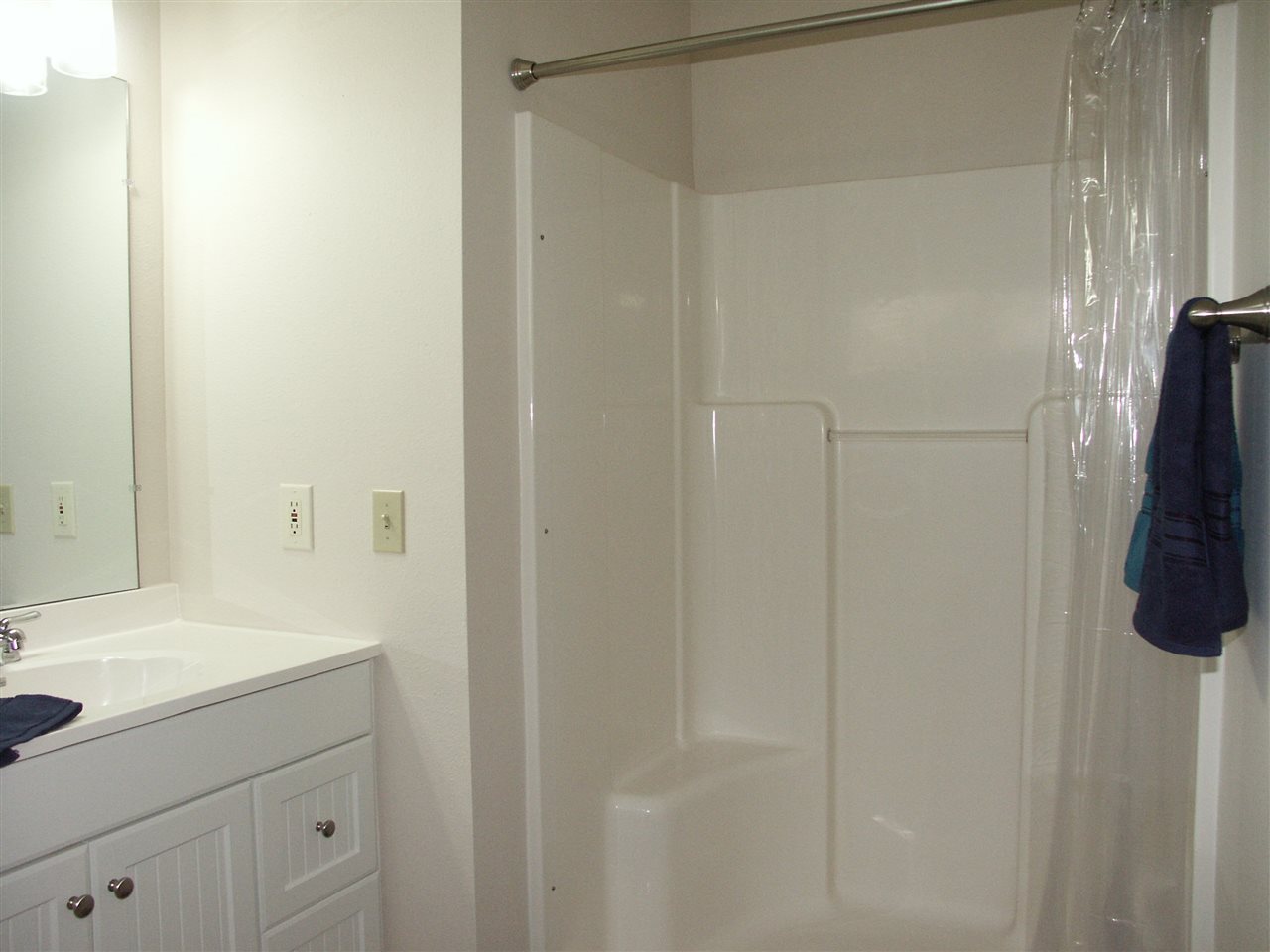 1208 Ridgewood Drive Lillian, AL 36549 - Photo 10 of 21 Separate Shower