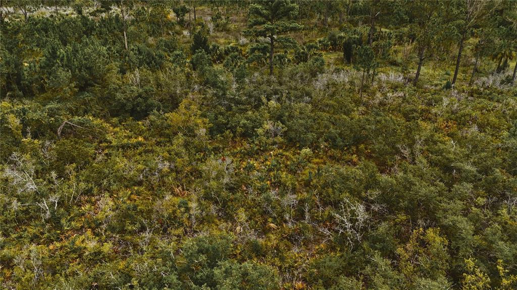 10-11 Adams Beach Road Perry, FL 32348 - Photo 16 of 38